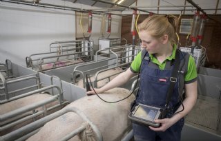 ‘Waardevolle informatie zit onder de huid van de zeug’