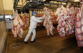Vleessector+toont+vooruitgang+en+verzet+zich+tegen+dreigend+uitzendverbod