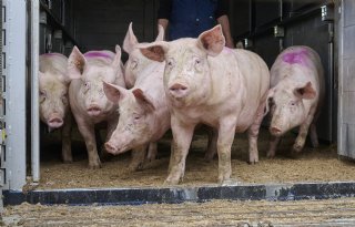 Vertrouwen in elkaar leidt tot langdurige relaties