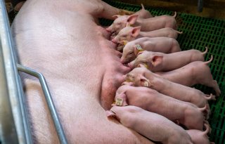 POV: PBL stuurt onterecht naar generieke korting rechten