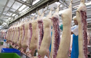 Duitse deelstaat investeert in nieuwe slachterijen