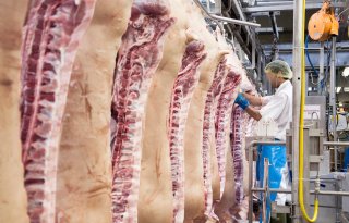 Vleesproductie op historisch laag niveau