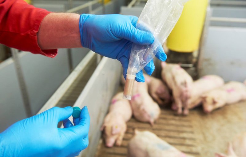 Een speekseltest is ook bruikbaar voor het opsporen van een darminfectie met PIA.